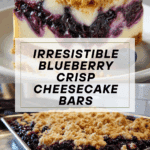 Blueberry Crisp Cheesecake Bars Recipe
