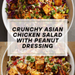Asian Chicken Crunch Salad Recipe