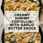 Shrimp Tortellini with Garlic Sauce Recipe