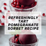 Pomegranate Sorbet Recipe