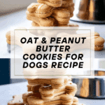 Oat & Peanut Butter Cookies for Dogs Recipe