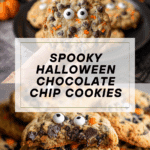 Baked Pumpkin Cake Donuts Recipe
