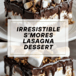 S’mores Lasagna Graham Chocolate Marshmallow Recipe