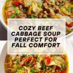 Beef Cabbage Soup Recipe