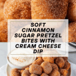 Cinnamon Sugar Pretzel Bites Recipe