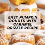 Pumpkin Donut Recipe