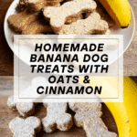 Banana Dog Treats Recipe