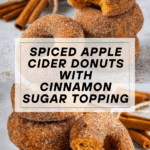 Spiced Apple Cider Baked Donuts Recipe