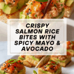 Salmon Crispy Rice Recipe