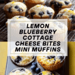 Blueberry and Lemon Zest Cottage Cheese Bites Recipe