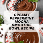 Peppermint Mocha Smoothie Bowl Recipe