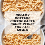 Cottage Cheese Pasta Sauce Recipe