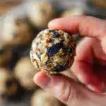 No-Bake Blueberry Muffin Energy Bites Recipe