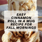 Cinnamon Roll in a Mug Recipe