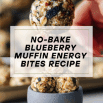 No-Bake Blueberry Muffin Energy Bites Recipe