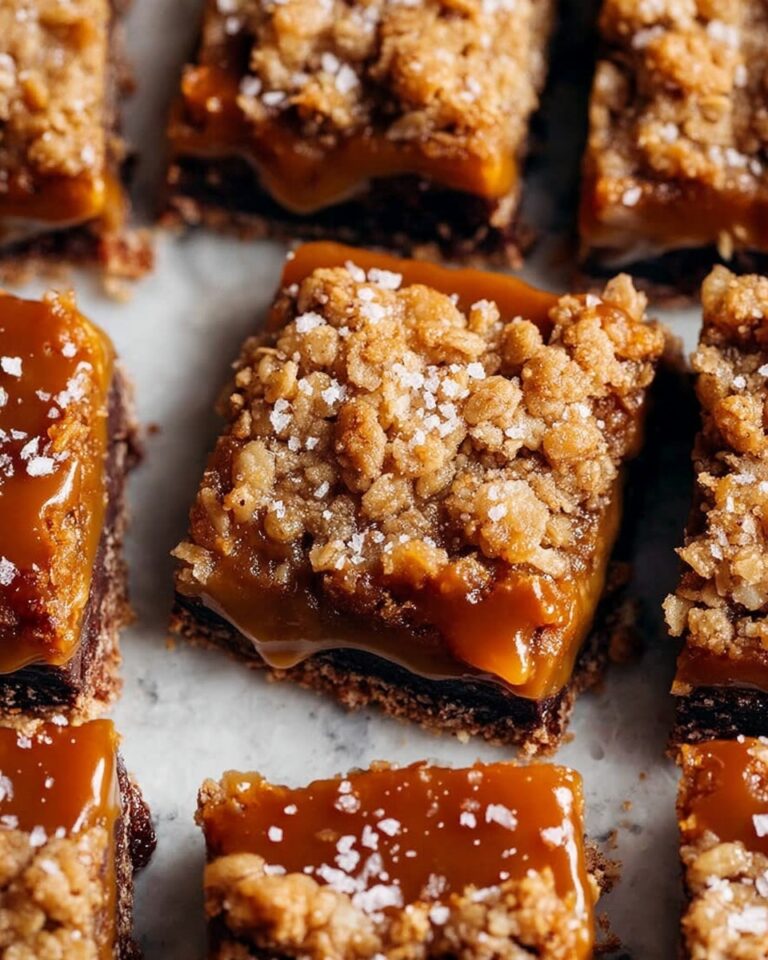 Salted Caramel Chocolate Chip Oat Cookie Bars Recipe