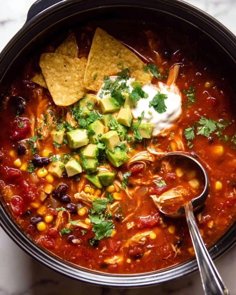 Slow Cooker Mexican Chicken Soup Recipe